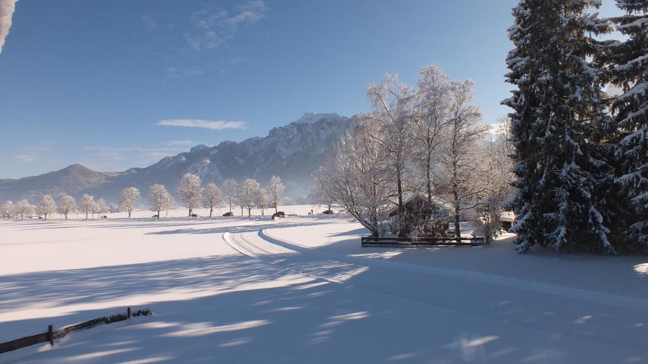 Helmerhof Schwangau Zewnętrze zdjęcie
